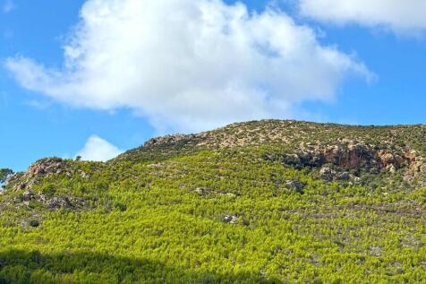 20-andratx-Finca mit Traumgarten und Swimmingpool-kaufen-wald