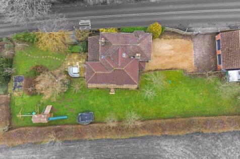 Plot View