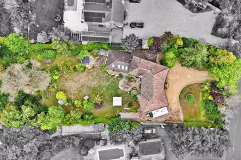 Plot View