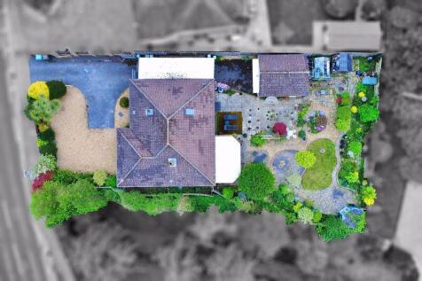 Plot View