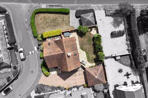 Plot View