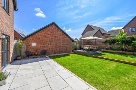 South Facing Garden