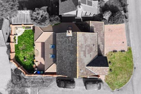 Plot View