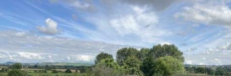 IMG_4406.jpeg