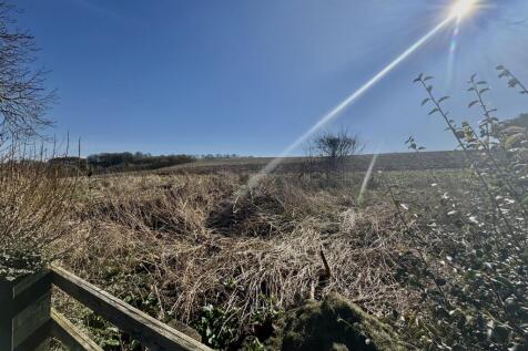 Fields Behind