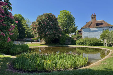 Village Pond