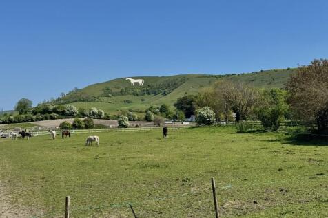 Westbury White Horse