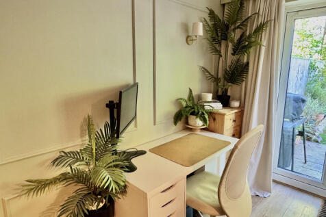 Study Area