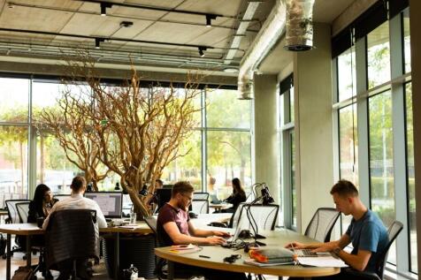 Office 