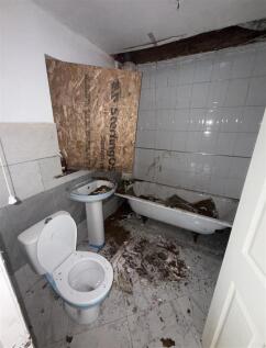 pic 5.jpg