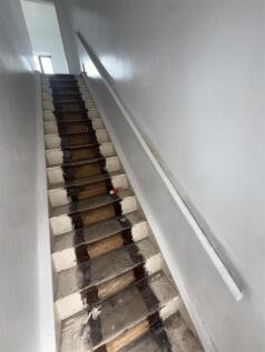 pic 6.jpg