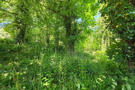Property Image 46