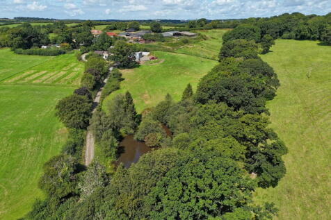 Property Image 39