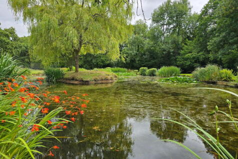 Property Image 44