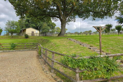 Property Image 42