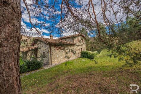 Property Image 50