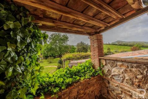 Property Image 65