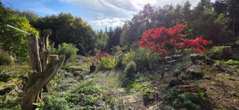 Garden.jpg