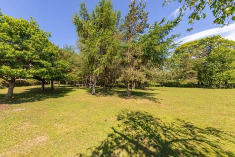 Property Image 22