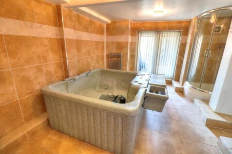 Basement Jacuzzi Shower Room