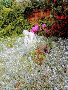 Photo 64