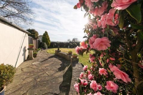 Beautifully presented private garden