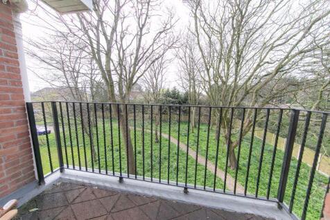 Balcony tree tops view