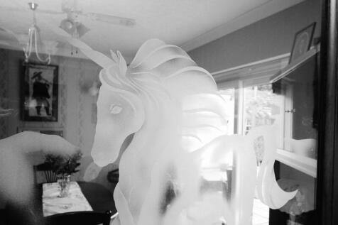 Etched Glass Door