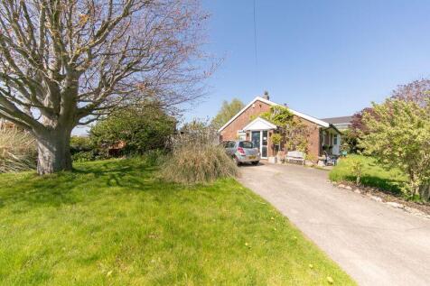 Front garden &amp; driveway