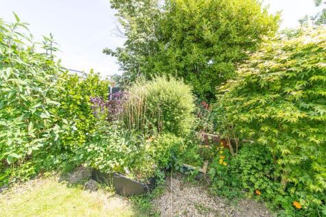 Private garden rear