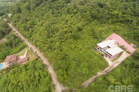 Site