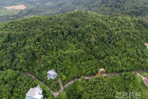 Site