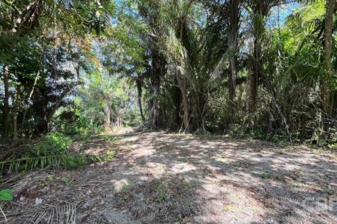 Site