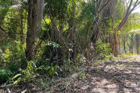 Site
