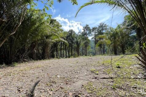 Site