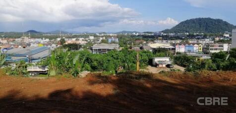 Views fron site
