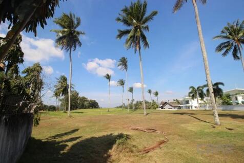 Site