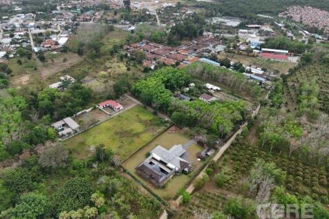 The villa