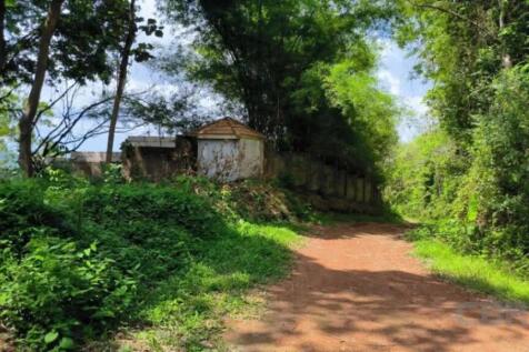 Site