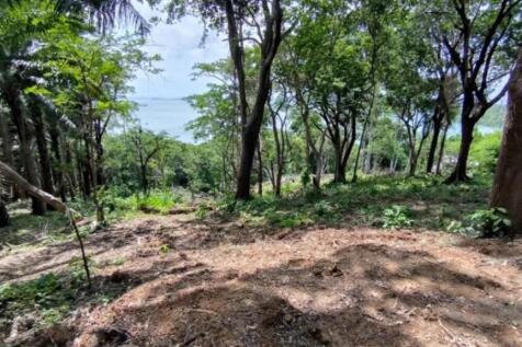Site