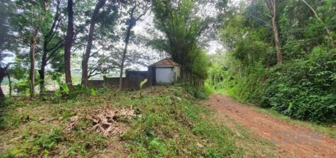 Site