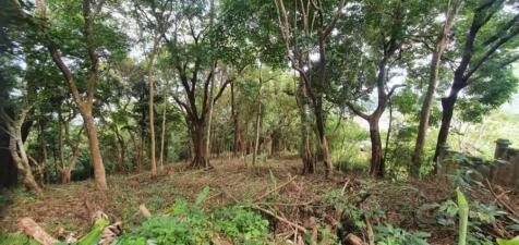 Site
