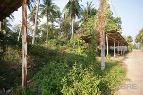 Site Photo