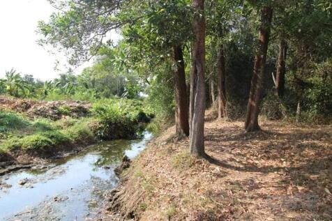 Site
