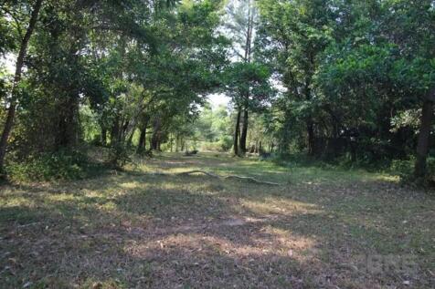 Site