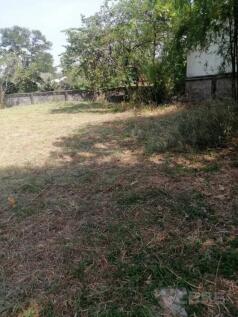 Site