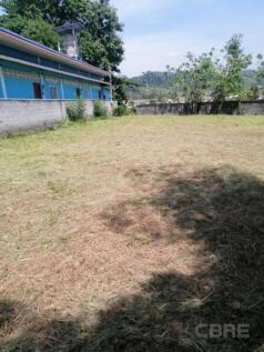 Site