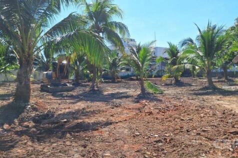 Site