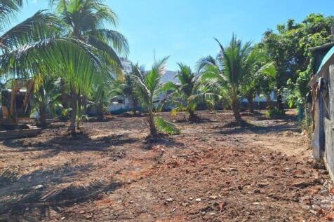 Site