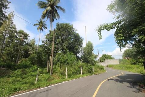 Site